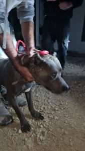 WhatsApp Image 2021-10-31 at 22.01.58